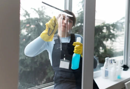 Nettoyage de vitres intérieures et extérieures à Domarin